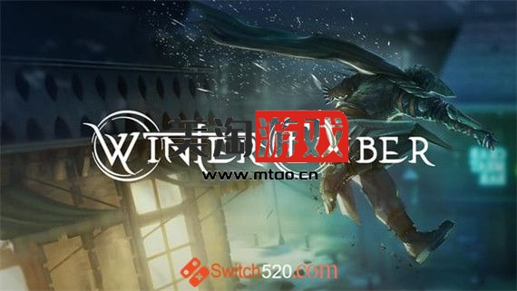 PC 冬季余烬Winter Ember|官方中文|-美淘游戏