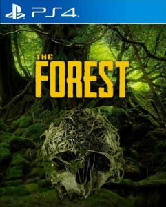 PS4 森林.The Forest-美淘游戏