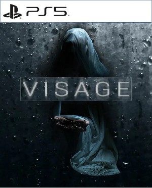 PS5 面容.Visage-美淘游戏