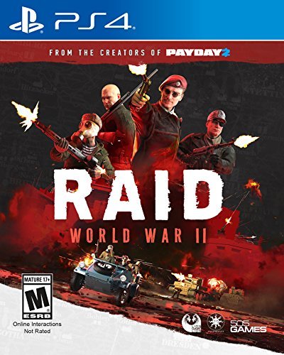 PS4 突击：二战.RAID: World War II-美淘游戏