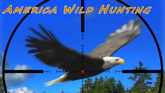 NS 美国野外狩猎/America Wild Hunting-美淘游戏