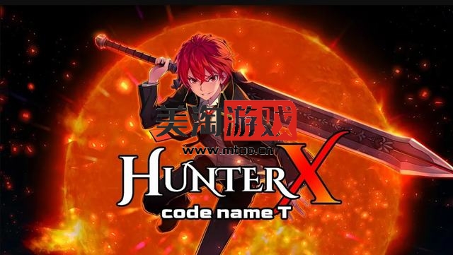 NS 猎人 X：代号 T（HunterX: Code Name T）中文[NSP]-美淘游戏