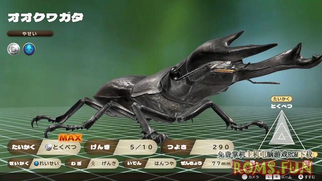 NS カブトクワガタ Beetle stag beetle [NSP]-美淘游戏