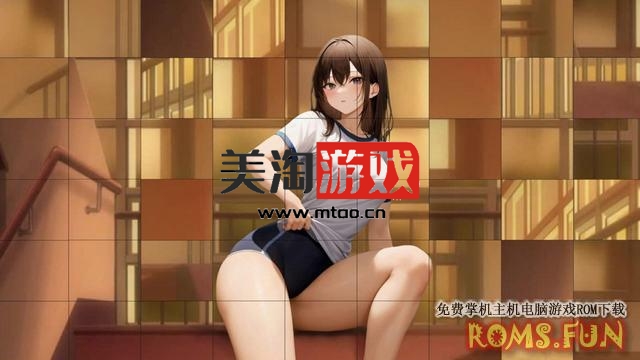 NS 动漫性感女孩拼图：无尽游戏历史冒险 Anime Sexy Girl Puzzle: Hentai Game History Adventure[NSP]-美淘游戏