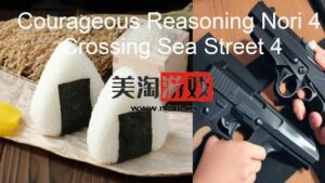 NS Courageous Reasoning Nori 4 Crossing Sea Street 4 [NSP]-美淘游戏