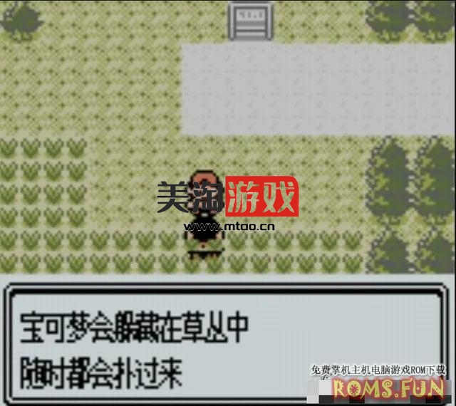 GBC 精灵宝可梦：金&银[1.1.1精翻汉化]-美淘游戏