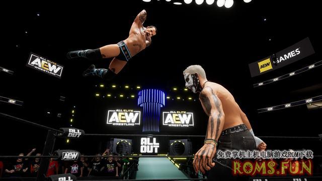 NS 全精英摔角：无限战斗（All Elite Wrestling: Fight Forever）中文+V1.1+DLC[NSP]-美淘游戏