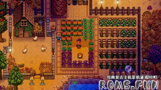 NS 星露谷物语.Stardew Valley 中文版-美淘游戏