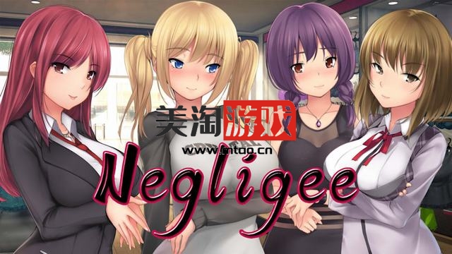 NS 晨衣小店（Negligee）[NSP]-美淘游戏