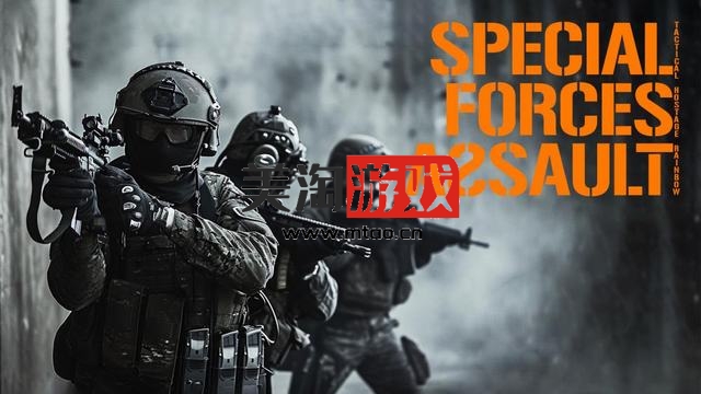 NS 特种部队战略版（Special Forces Strategy）[NSP]-美淘游戏