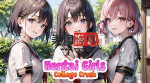 NS 动漫女孩：大学暗恋（Hentai Girls: College Crush）中文[NSP]-美淘游戏